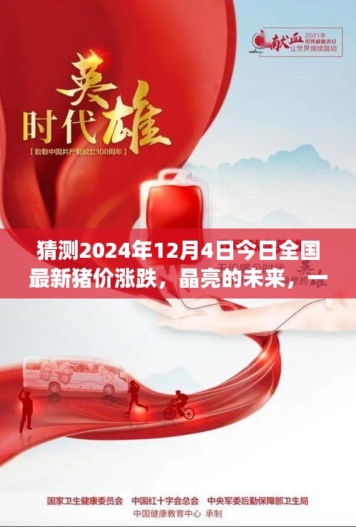 晶亮未來展望，2024年12月4日全國豬價漲跌預測之旅