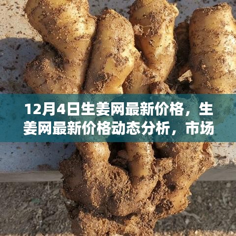 12月4日生姜網(wǎng)價(jià)格更新，市場動態(tài)分析與觀點(diǎn)碰撞
