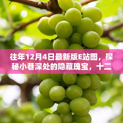 探秘十二月最新版E站圖，小巷深處的隱藏瑰寶與創(chuàng)意空間