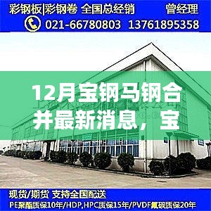 寶鋼馬鋼合并最新進(jìn)展，攜手共進(jìn)，冬日傳遞溫情與陪伴