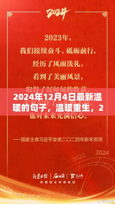 溫暖重生，2024年12月4日的語(yǔ)言之光與情感暖流
