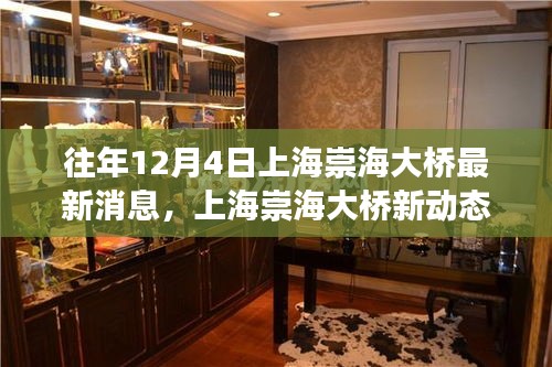 上海崇海大橋新動(dòng)態(tài)，與自然美景的邂逅之旅揭秘最新消息