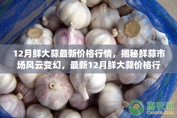 揭秘最新鮮大蒜行情，12月鮮大蒜價格解析與市場風(fēng)云變幻
