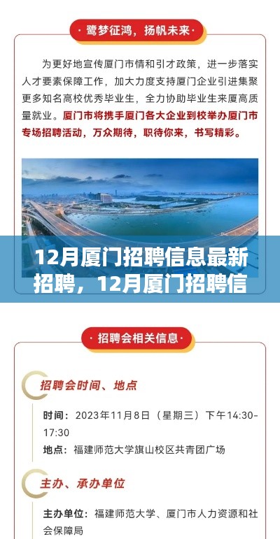 12月廈門(mén)最新招聘信息全面評(píng)測(cè)與介紹