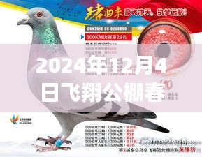 揭秘最新公告，飛翔公棚春棚更新動態(tài)，關(guān)注所有你關(guān)心的內(nèi)容