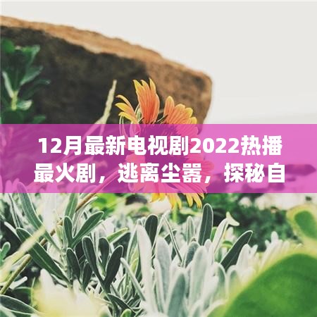 心靈之旅，逃離塵囂，探秘自然美景——2022年熱播電視劇最新盤點(diǎn)