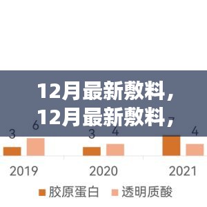 12月最新敷料革新與應(yīng)用，深度探討與解讀