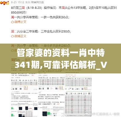 管家婆的資料一肖中特341期,可靠評(píng)估解析_VR3.850