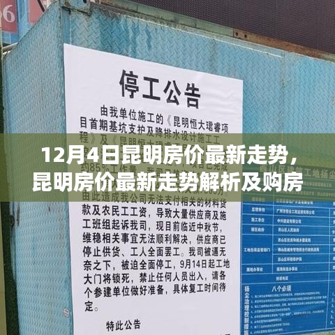 昆明房價最新走勢解析，初學(xué)者與進階用戶的購房指南（12月4日更新）