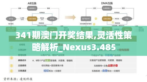 341期澳門開獎(jiǎng)結(jié)果,靈活性策略解析_Nexus3.485