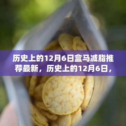 歷史上的12月6日，盒馬減脂引領(lǐng)健康之旅，勵志成就感的自信之旅