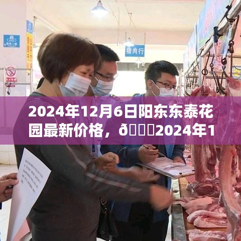 陽東東泰花園最新價格揭秘，2024年行情大揭秘
