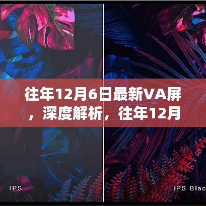 往年12月6日最新VA屏深度解析，表現如何？