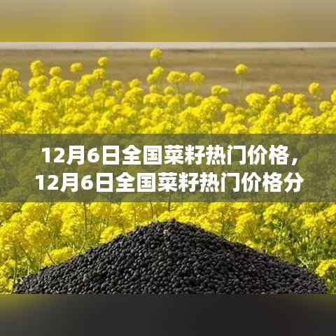 12月6日全國菜籽熱門價格解析，市場走勢洞察與個人觀點(diǎn)分享