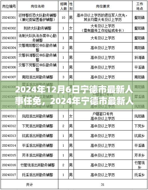 2024年寧德市人事任免信息解讀與操作指南，初學(xué)者與進(jìn)階用戶必讀