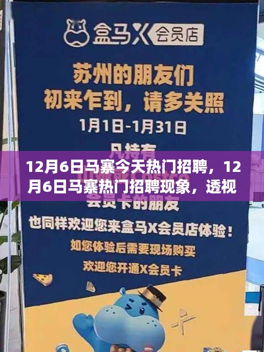 12月6日馬寨熱門招聘現(xiàn)象深度解析，利弊與個人觀點透視