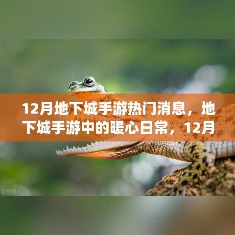 12月地下城手游，暖心日常與友情陪伴的時光
