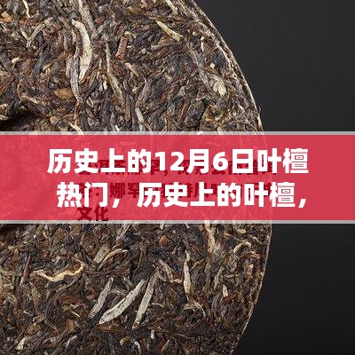 葉檀，歷史上的傳奇人物與熱門話題，12月6日的獨特印記回顧