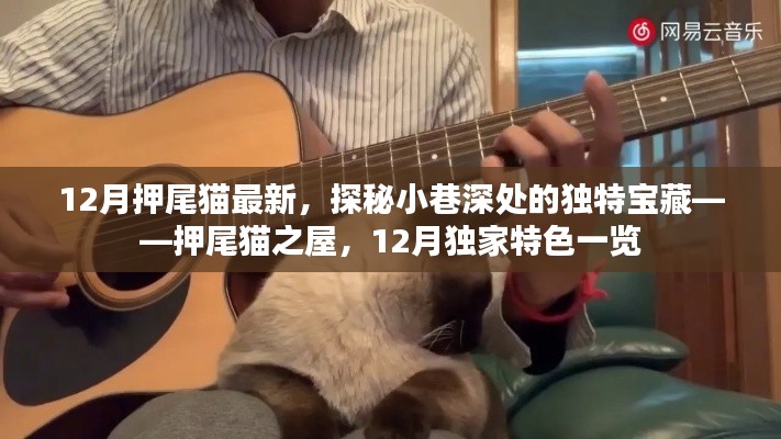 探秘押尾貓之屋，小巷深處的獨特寶藏，揭秘十二月獨家特色