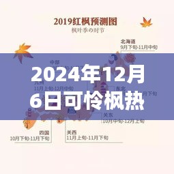 紀念特殊時刻，可憐楓熱背后的故事與影響——2024年12月6日時光印記