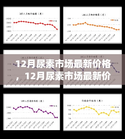 多方觀點(diǎn)碰撞與個(gè)人立場(chǎng)，12月尿素市場(chǎng)最新價(jià)格及走勢(shì)分析