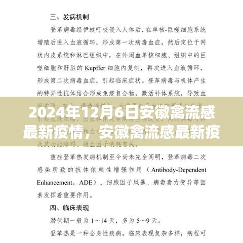 深度觀察，安徽禽流感最新疫情背景、進(jìn)展與影響分析（2024年12月6日）