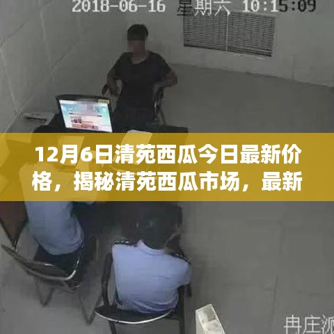 清苑西瓜最新價(jià)格動(dòng)態(tài)及市場(chǎng)分析，揭秘市場(chǎng)趨勢(shì)（以12月6日數(shù)據(jù)為例）