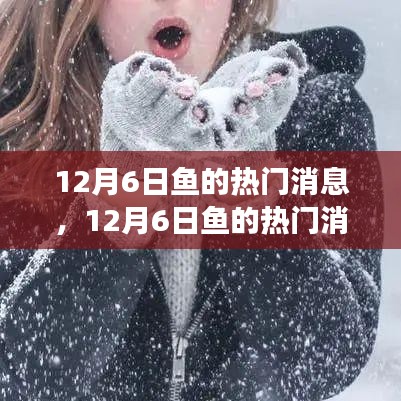 深度解析，揭秘12月6日魚(yú)的熱門(mén)消息背后的觀點(diǎn)與立場(chǎng)