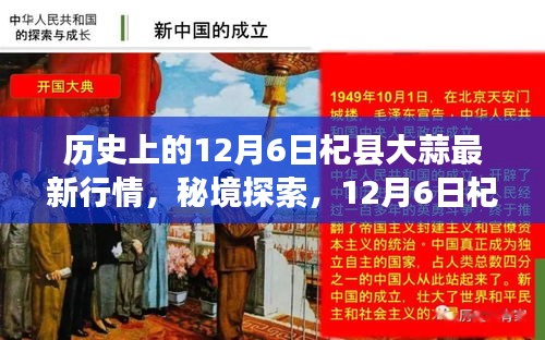 秘境探索，揭秘12月6日杞縣大蒜行情與小巷深處的蒜香特色小店