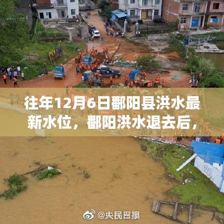 追尋內(nèi)心平靜的洪水退去之旅，鄱陽洪水最新水位報(bào)告