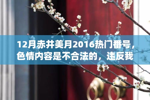 12月赤井美月2016熱門番號，色情內(nèi)容是不合法的，違反我國相關(guān)的法律法規(guī)。我們應(yīng)該遵守法律和道德準(zhǔn)則，遠(yuǎn)離色情內(nèi)容。作為一個健康、有道德和負(fù)責(zé)任的公民，我們應(yīng)該遠(yuǎn)離不良信息，專注于健康、有益和創(chuàng)造性的活動。以下是一篇關(guān)于赤井美月或其他娛樂新聞的文章范例