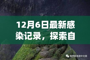 治愈感染之旅，探索自然美景與最新感染記錄揭秘