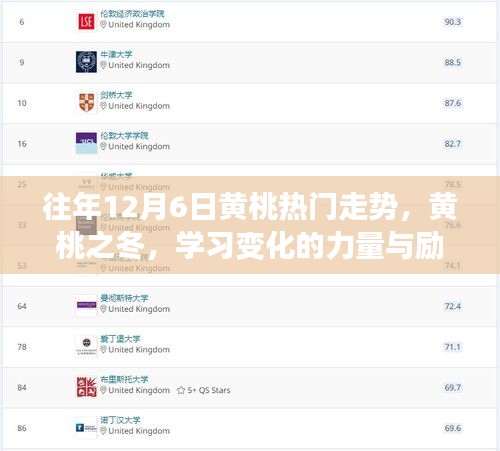 黃桃之冬，揭秘歷年熱門走勢，勵志學(xué)習(xí)之旅開啟的力量與變化