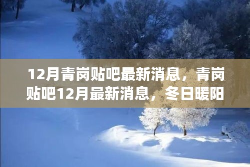 冬日暖陽下的青崗貼吧，最新消息與友情故事匯聚