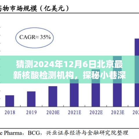 探秘北京隱藏版核酸檢測(cè)機(jī)構(gòu)，2024年12月6日最新核酸檢測(cè)寶藏揭秘
