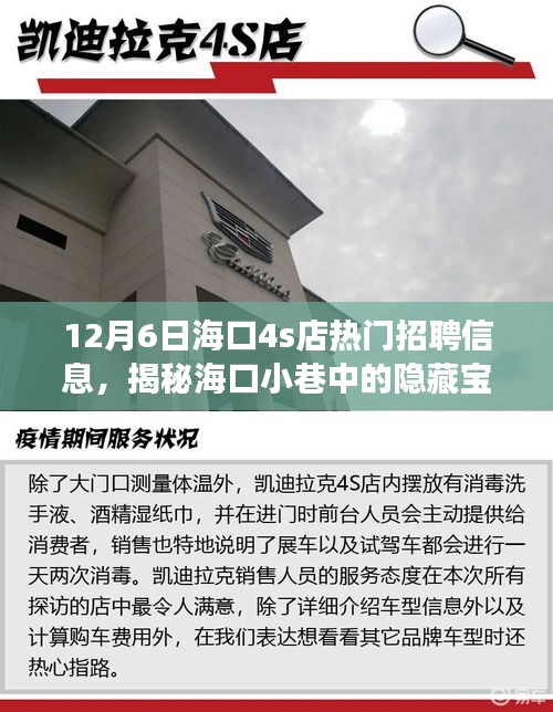 ?？谔厣?S店招聘信息揭秘，小巷寶藏人才盛宴，職場體驗大不同