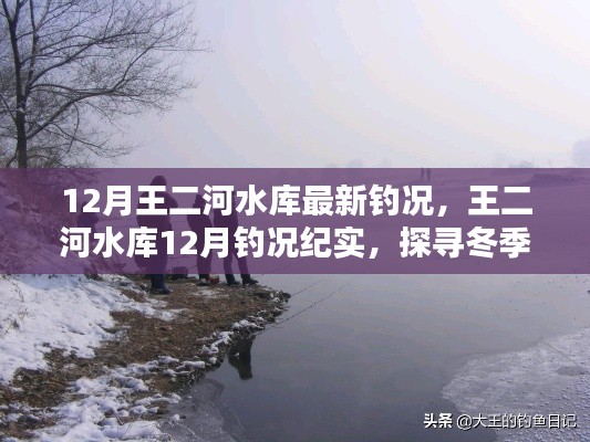 探尋冬季垂釣奧秘與魅力，王二河水庫12月釣況紀(jì)實(shí)