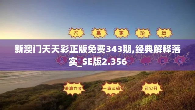 新澳門天天彩正版免費(fèi)343期,經(jīng)典解釋落實_SE版2.356