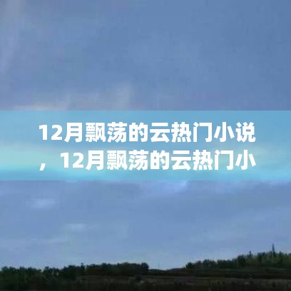 全面測(cè)評(píng)與介紹，12月飄蕩的云熱門(mén)小說(shuō)