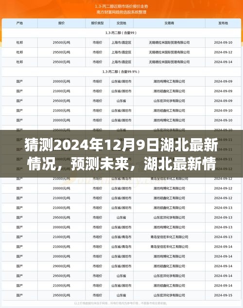 湖北未來展望，以2024年12月9日觀察節(jié)點預(yù)測湖北最新情況展望