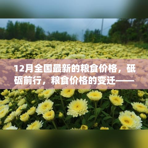 砥礪前行見證變遷，12月全國最新糧食價格及其背后的勵志故事。