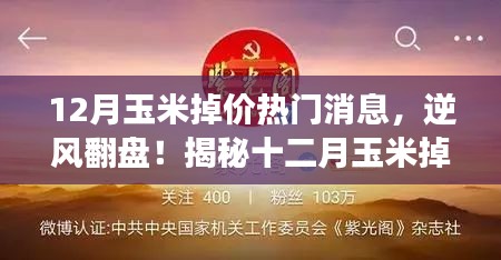 揭秘十二月玉米掉價背后的故事，逆風翻盤，成就無限可能！