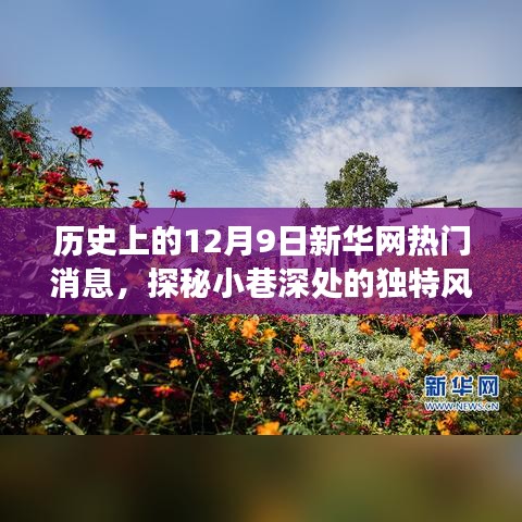 探秘小巷深處的獨特風(fēng)味，歷史上的十二月九日新華網(wǎng)熱門消息深度解析
