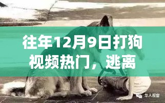 探索自然美景與狗同行，尋找內(nèi)心的寧靜之旅