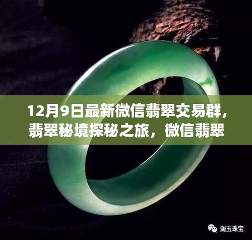 翡翠秘境探秘之旅，微信交易群新啟程與自然美景共舞