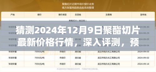 獨(dú)家解析，預(yù)測(cè)與深入評(píng)測(cè)2024年12月9日聚酯切片最新價(jià)格行情及市場(chǎng)洞察