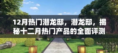 潛龍邸揭秘，十二月熱門產(chǎn)品全面評測與深度介紹