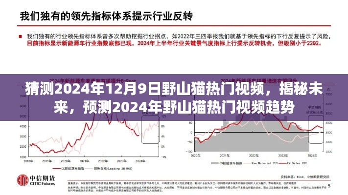 揭秘預(yù)測(cè)，野山貓熱門(mén)視頻趨勢(shì)展望至2024年12月9日