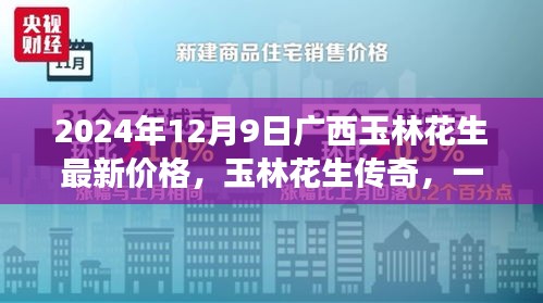 廣西玉林花生最新價格與傳奇故事，一場友情與陪伴的美味之旅