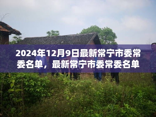 最新常寧市委常委名單（2024年12月版）獲取指南